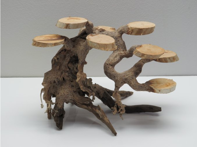 Bonsai target S (BT41272)