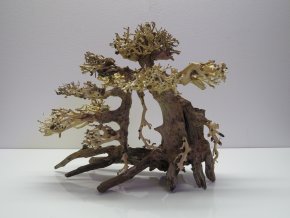 Bonsai wood M (BW40281)