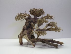 Bonsai wood M (BW40282)