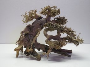 Bonsai wood M (BW40283)