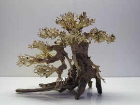 Bonsai wood M (BW40285)