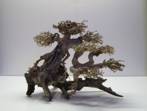 Bonsai wood M (BW40286)