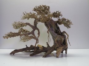 Bonsai wood L (BW40422)