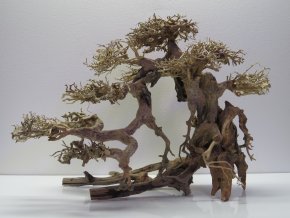 Bonsai wood L (BW40426)