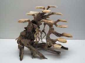 Bonsai target M (BT41412)
