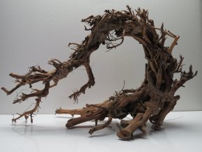 Wood dragon M (WD42263)