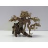 Bonsai wood S (BW35811)