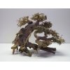 Bonsai wood M (BW40283)