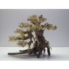 Bonsai wood M (BW40285)