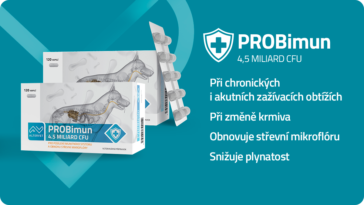 Probiotika pro psy - PROBimun: Tajemství silné imunity a bezstarostného bříška vašeho mazlíčka