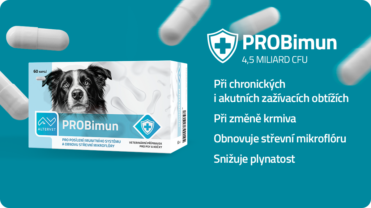 Probiotika pro psy - PROBimun: Tajemství silné imunity a bezstarostného bříška vašeho mazlíčka