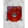 Vinylové LP 15 LET Deska