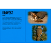 Dravost