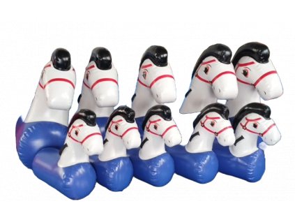 ponnys