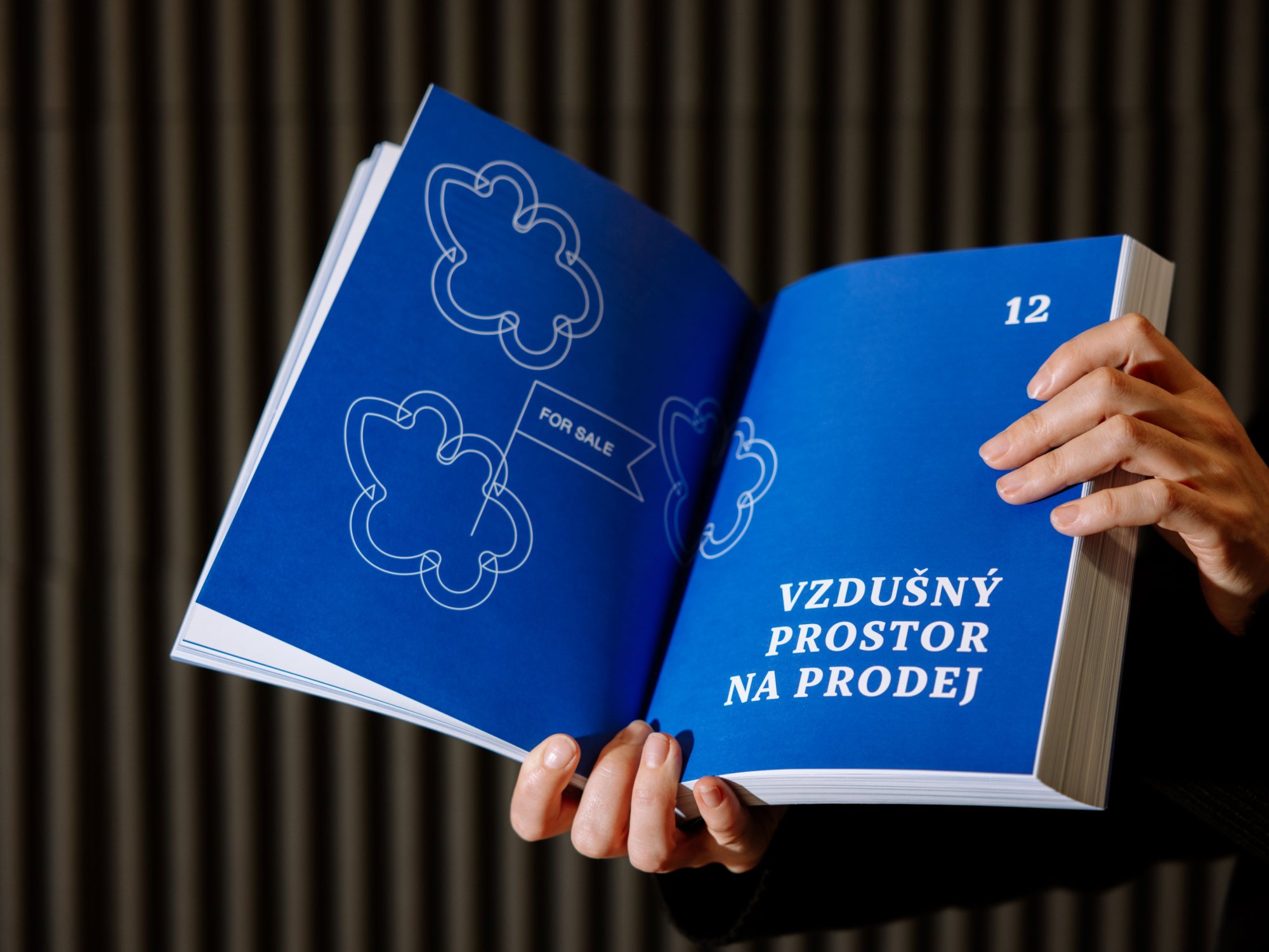 New York, New York, New York: Co městu prospívá a co mu škodí