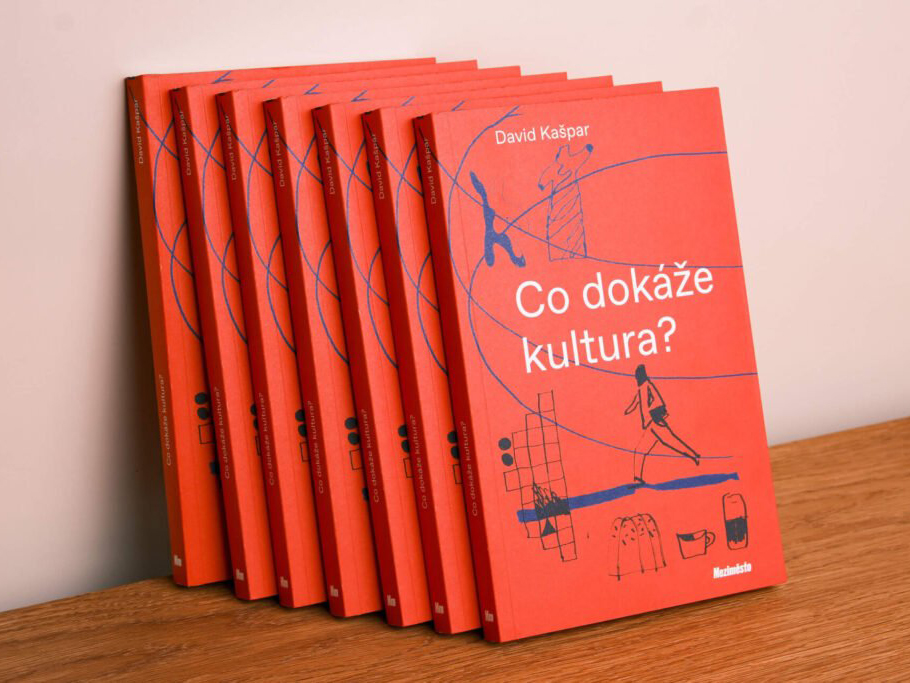 Co dokáže kultura?