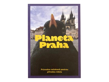 11 planeta praha