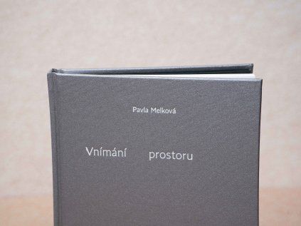 Vnímání prostoru