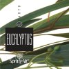 EUCALYPTUS