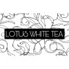 LOTUSWHITETEA