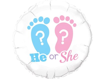 he or she