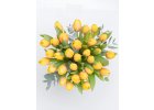 Tulipan2