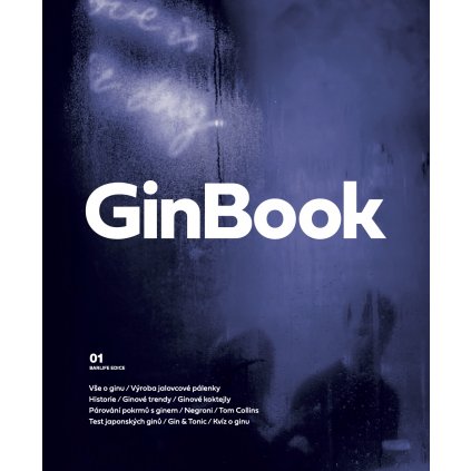 GinBook 2020 obalka copy