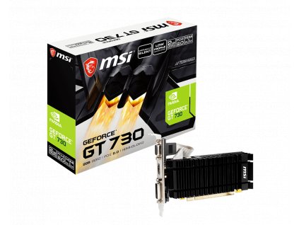 MSI GeForce GT 730 (GT 730 2GD3H LP)