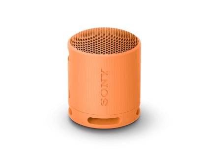 Sony Sony SRS-XB100, oranžová
