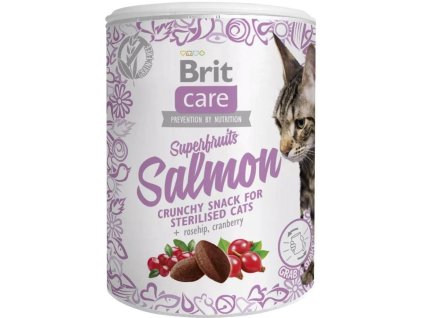Brit Care Cat Snack Superfruits Salmon  100g pamlsky pro kočky
