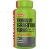 Nutrend TRIBULUS Terrestris TURBO, 120 kapslí