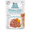 Brit Care Cat Sterilized. Fillets in Gravy with Healthy Rabbit 85g kapsičky pro kočky