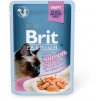 Brit Premium Cat Delicate Fillets in Gravy with Salmon for Sterilised 85g kapsičky pro kočky