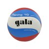 Volejbalový míč GALA Training 10 BV 5561 S