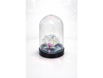 Örök rózsa kupolába bújtatva jo