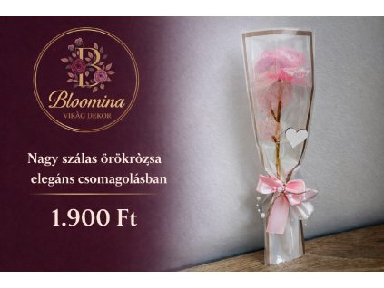 69f90ec0 010d 4efb a72f f16a64a6932e