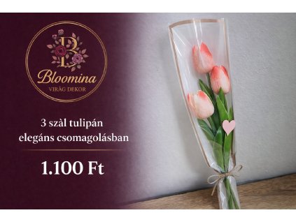 ChatGPT Image 2026. febr. 8. 17 36 32