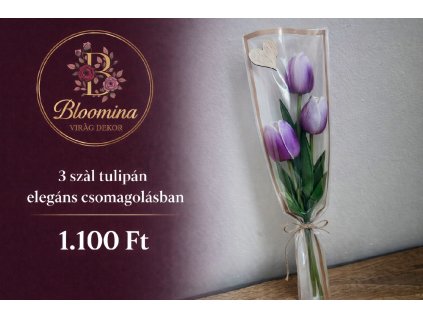 ChatGPT Image 2026. febr. 8. 17 37 38