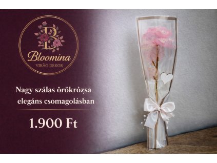 2e26675f 7401 4483 b997 7cf9d35bfada