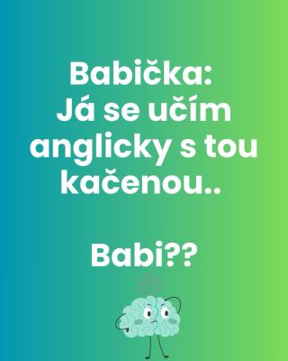 🟢 Kačena😃😃 #babickajebozi #hlasky #bloque #duolingo