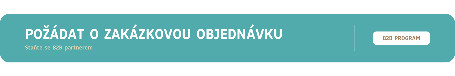 CZB2B