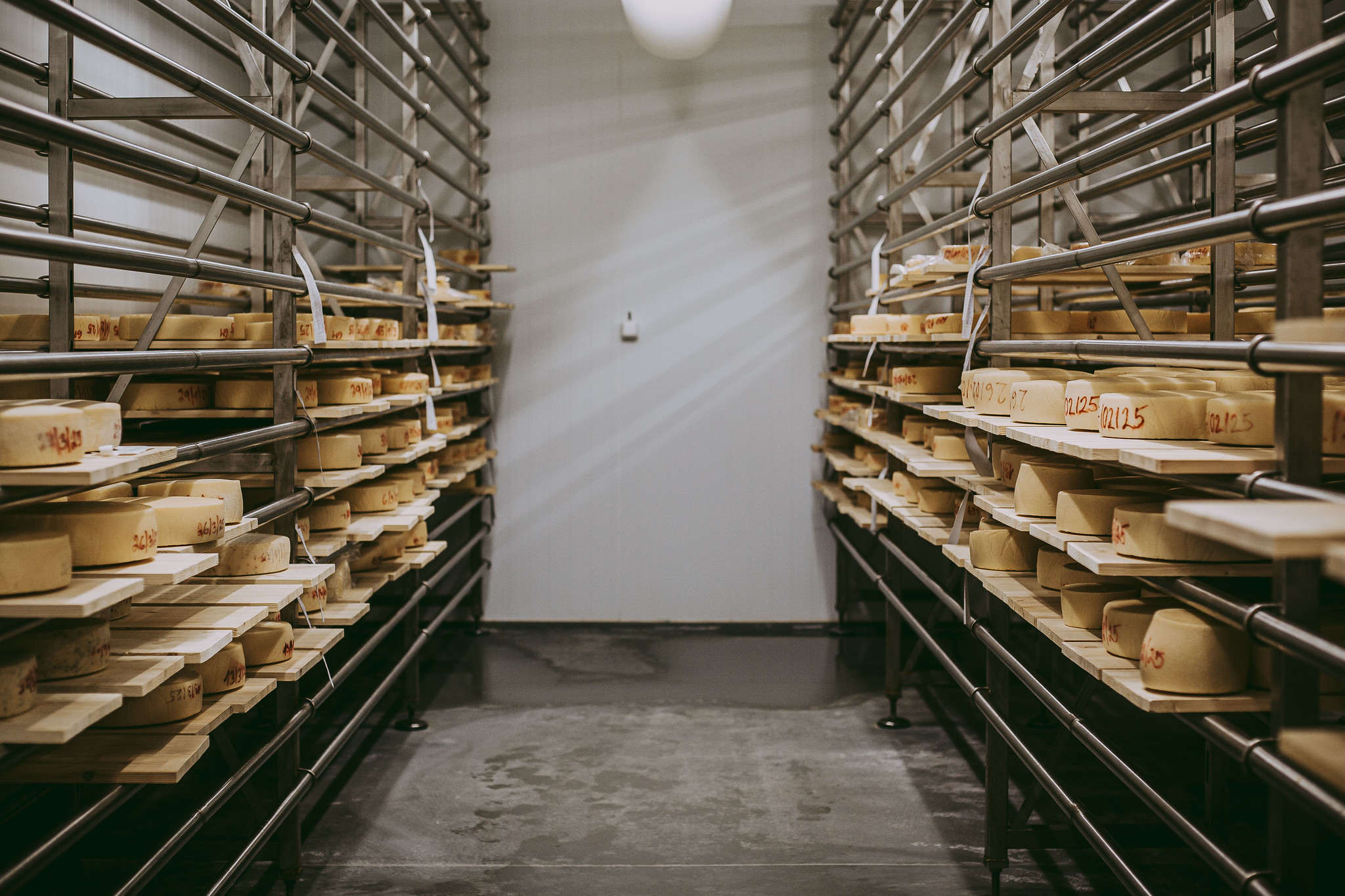 54551860453_ecaef38d2e_k