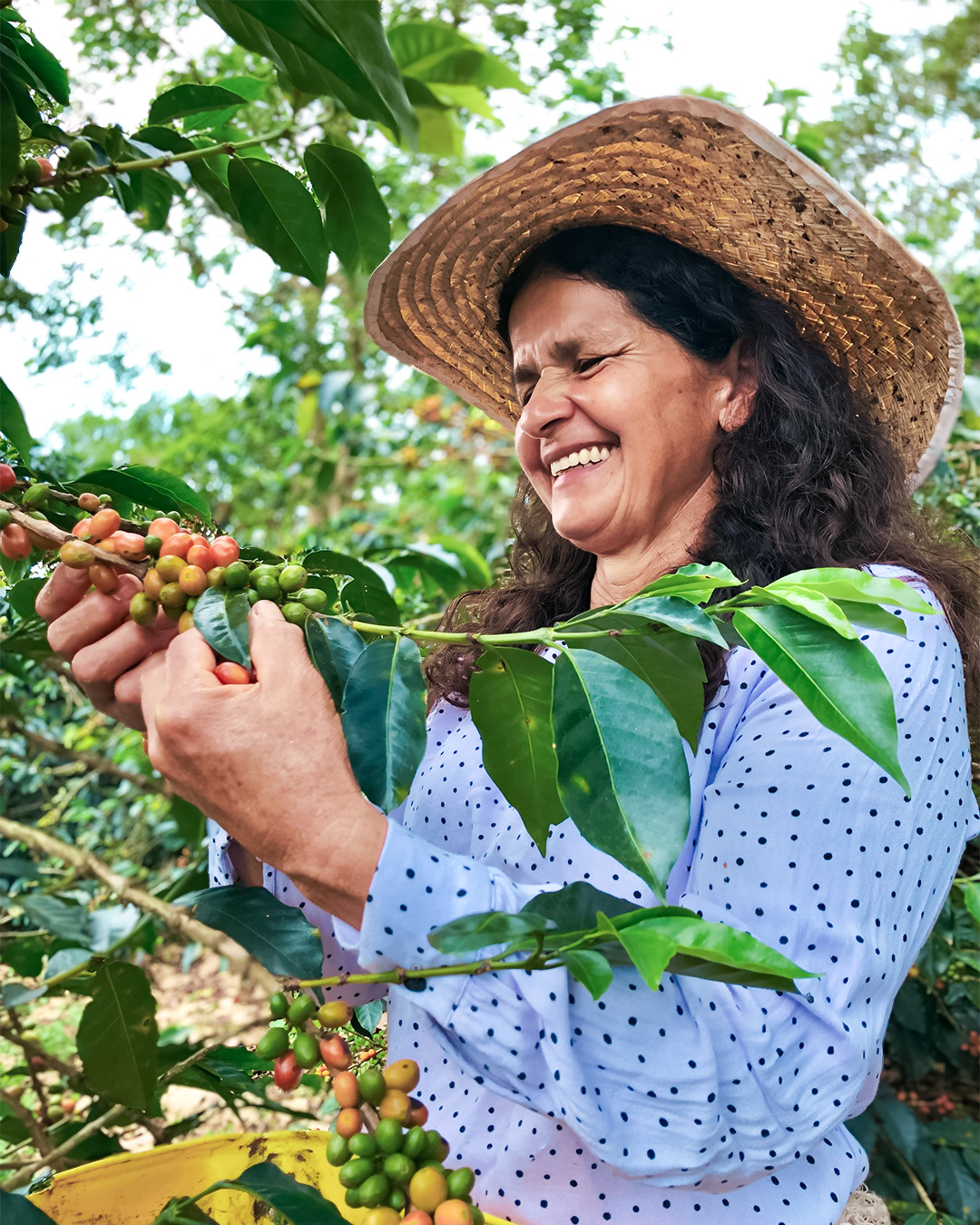 486677831_1082911487210657_6172701190251527201_n