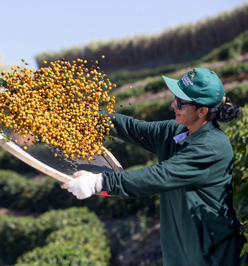 F-MONTE-ALTO-49-Kopie