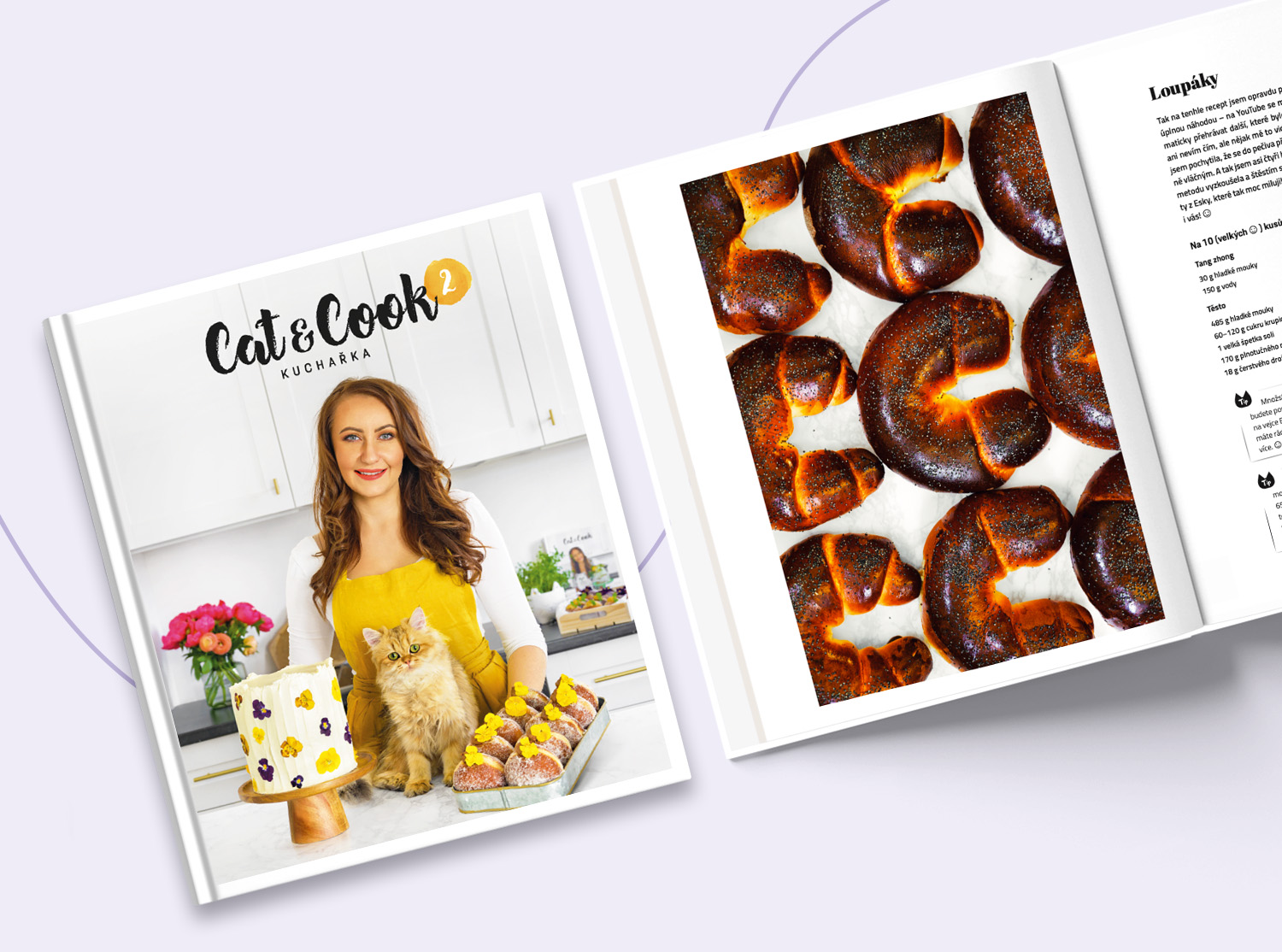 Cat & Cook 2