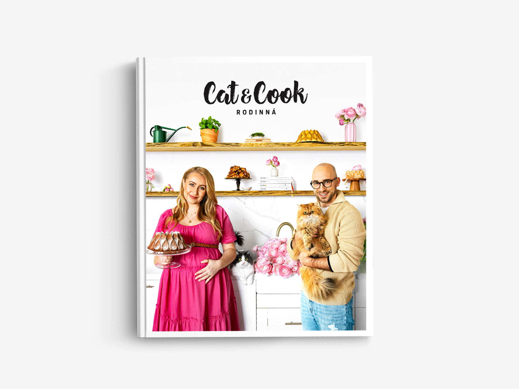 Cat & Cook