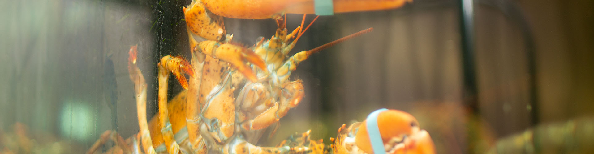 Navštivte naši prodejnu a získejte slevu