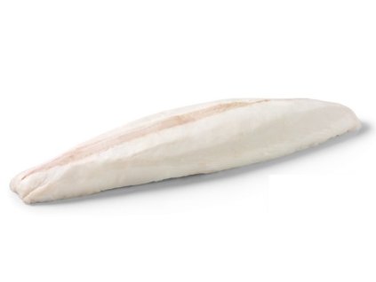 butterfish