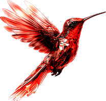hummingbird-rad12