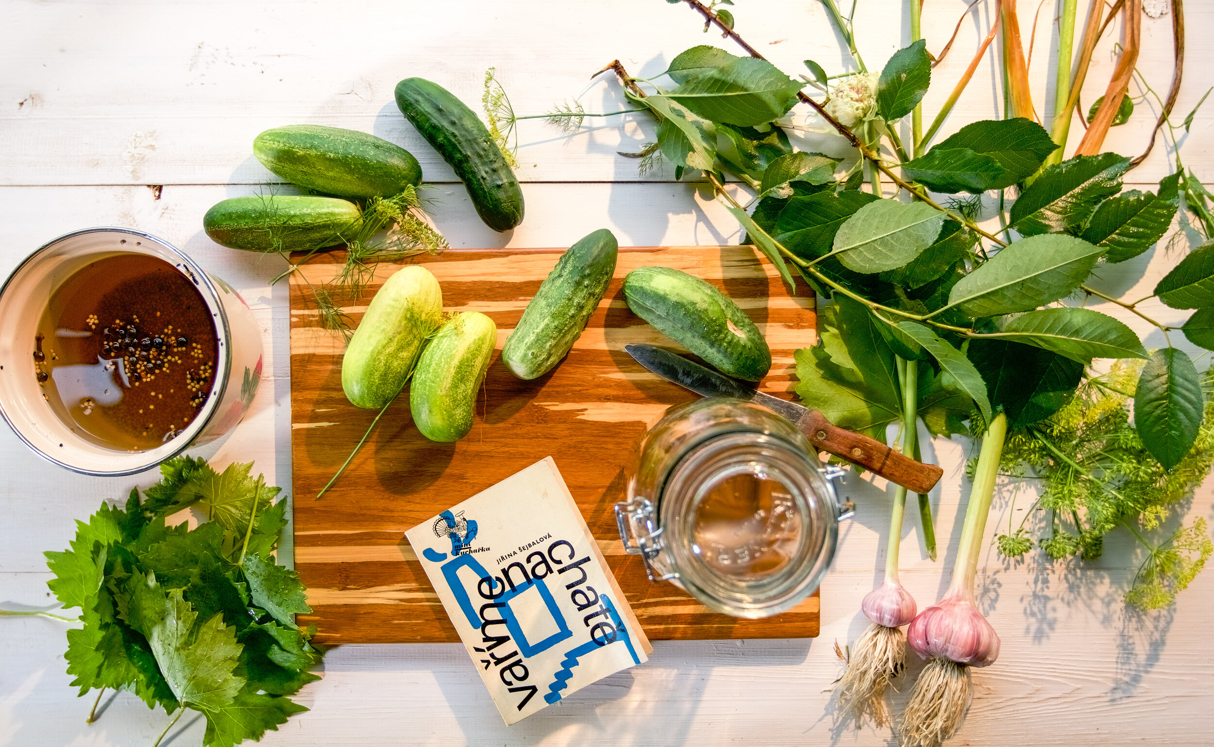 Nezapomenutelné kvašáky od Jiřiny Šejbalové